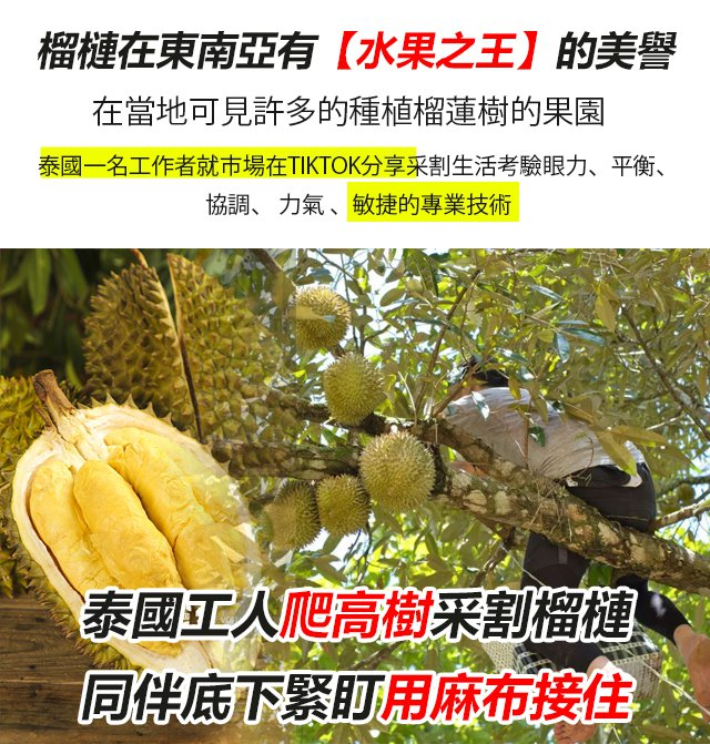 1705279279114981.png 8c645646e0320b88afe733e8d22e6d9.png