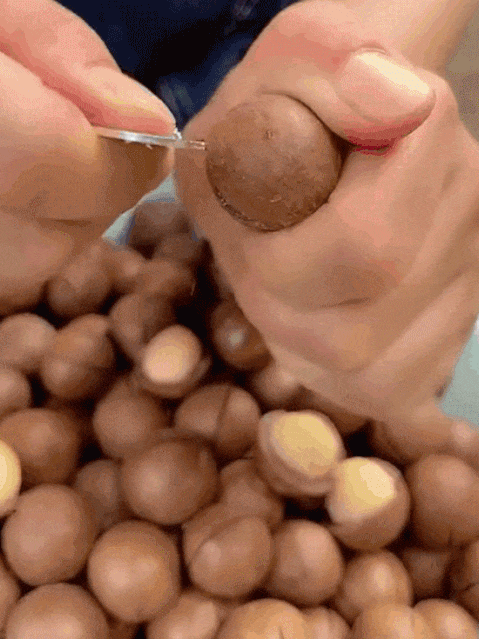 【千果之王】低溫烘焙帶殼夏威夷豆 火爆熱銷中!對抗大腦老化,預防心血管疾病 高血壓,控制血糖水平,現在下單享受在線支付立減活動! 【千果之王】低溫烘焙帶殼夏威夷豆 火爆熱銷中!對抗大腦老化,預防心血管疾病 高血壓,控制血糖水平,現在下單享受在線支付立減活動!